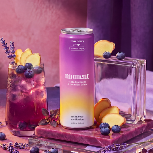 Moment blueberry ginger (botanical tea | 12 pack)