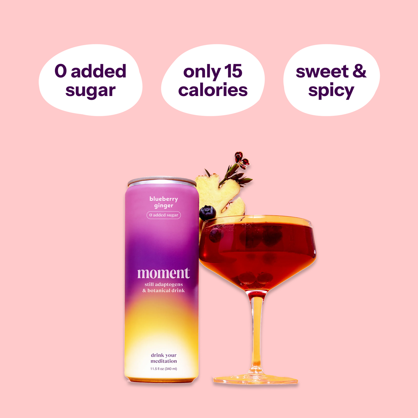 Moment blueberry ginger (botanical tea | 12 pack)