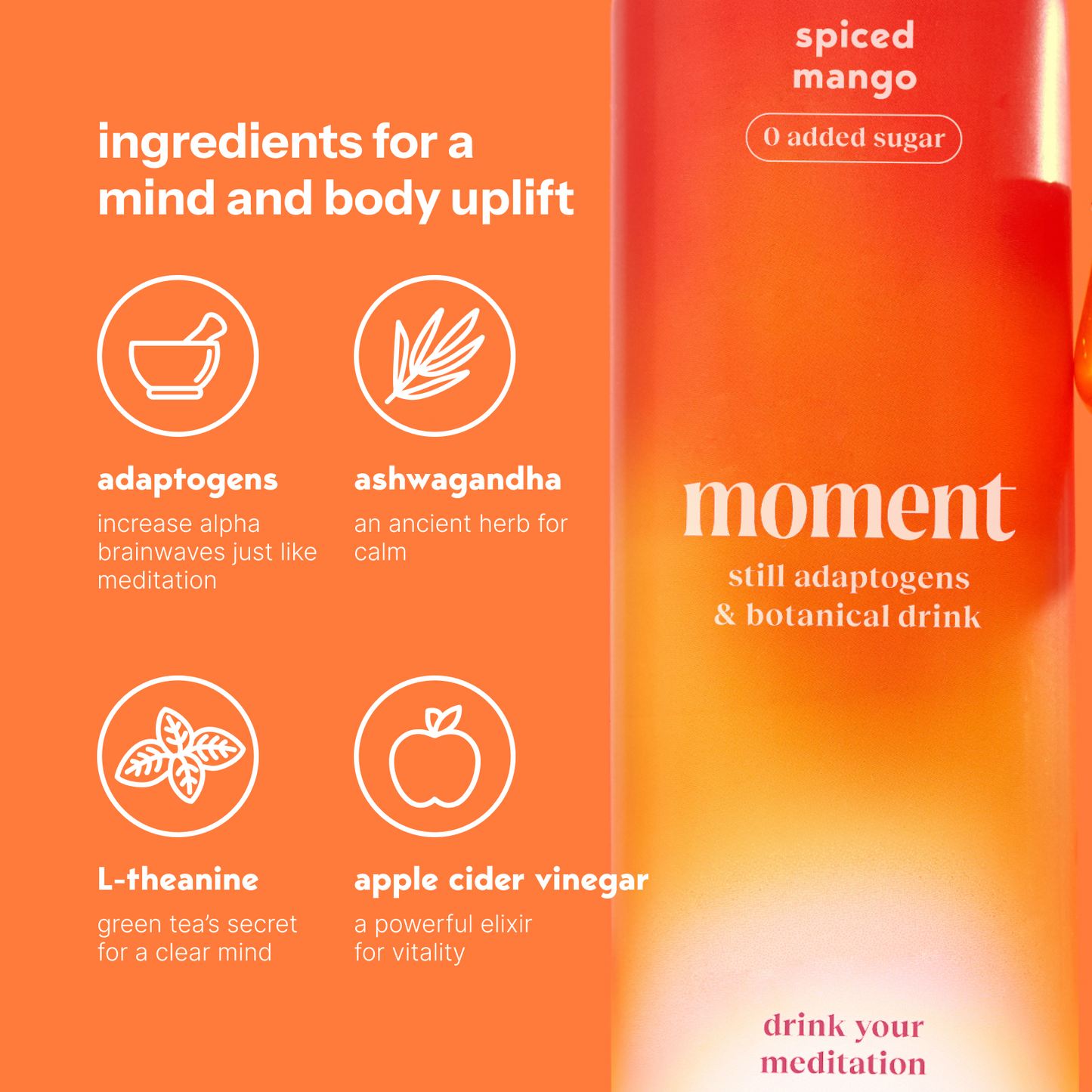 Moment spiced mango (botanical tea | 12 pack)