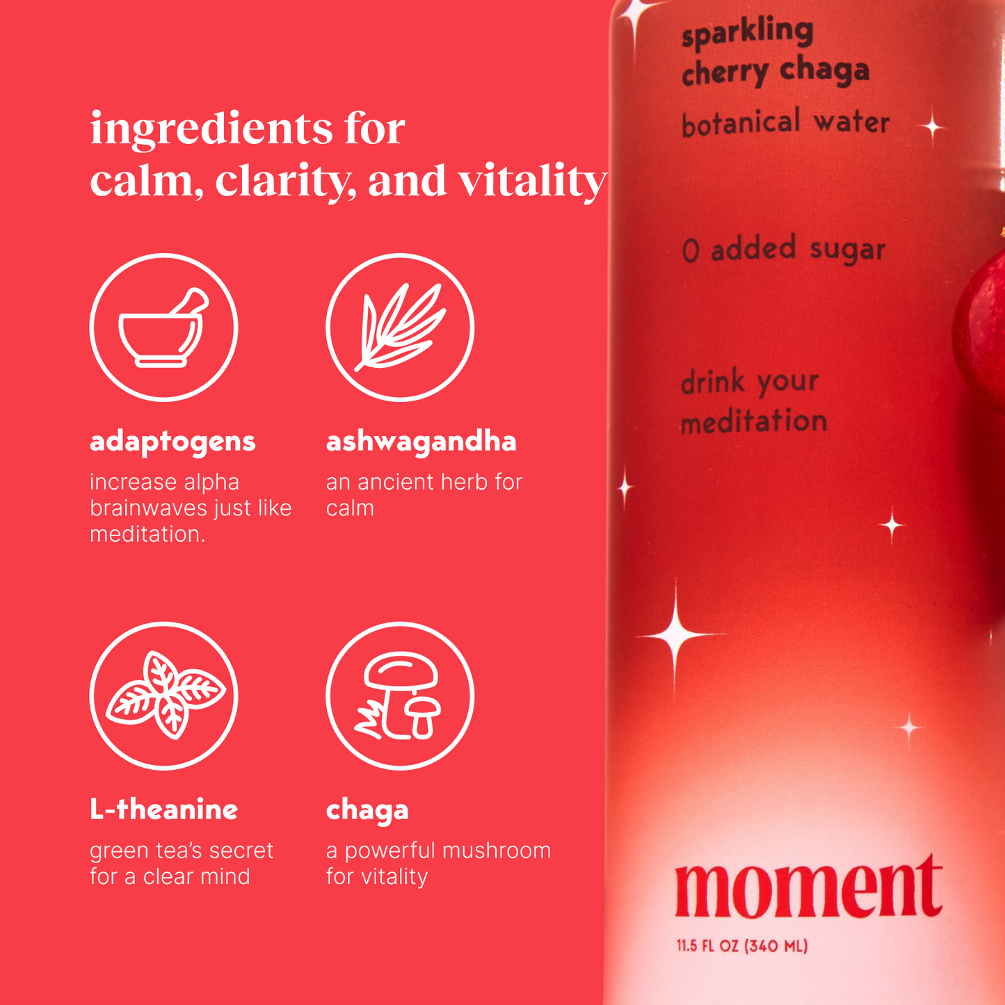 Moment cherry chaga (botanical soda | 12 pack)